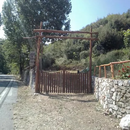 Alepetroupes
